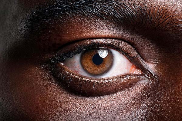 The 20/20 Podcast | Dr. Bryce Appelbaum | Eye-Brain Connection